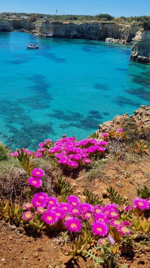Casa Vacanze Afea Torre Dell'Orso Salento Puglia Exteriör bild